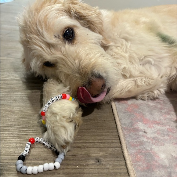 Save AirPod Bracelets 💚 🐾 Kandi Fundraiser Dog Assistance - Picture 2 of 5